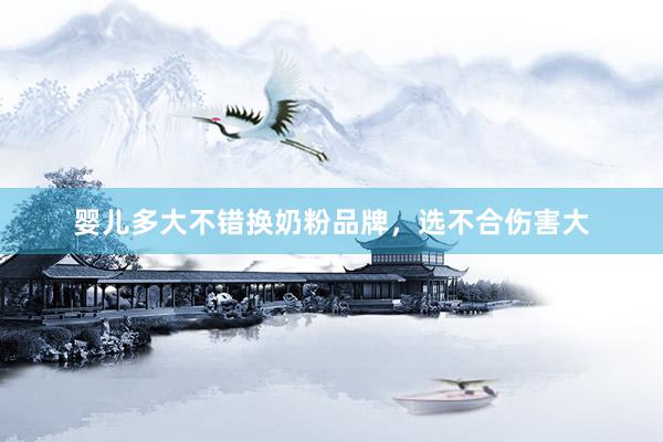 婴儿多大不错换奶粉品牌，选不合伤害大