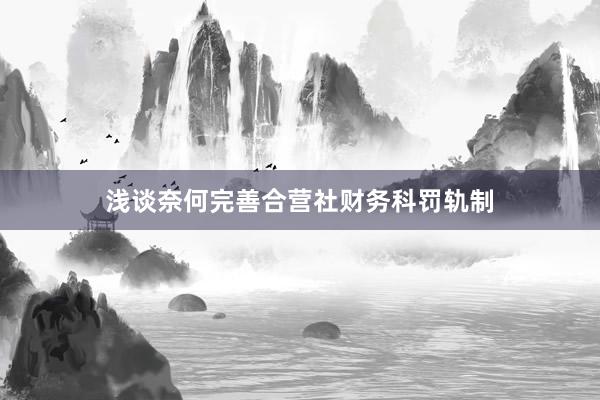 浅谈奈何完善合营社财务科罚轨制